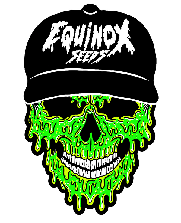 Equinox seeds logo